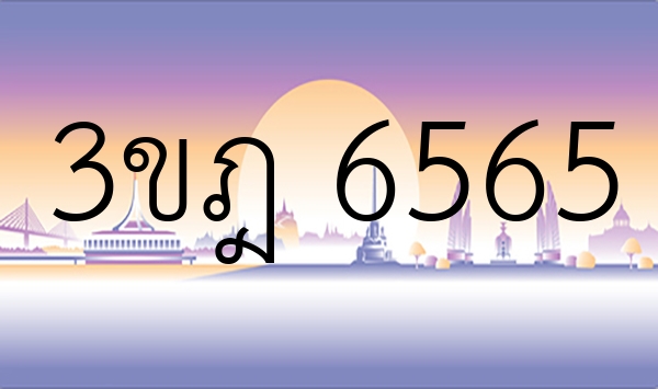 3ขฎ 6565